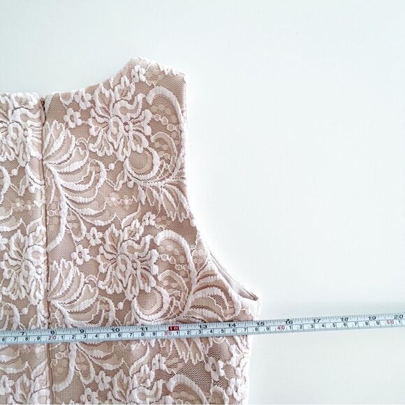 Xscape Blush Pink Lace Dress Pleated Fit and Flare Semi-Formal Party Women 's 10 - Picture 11 of 14